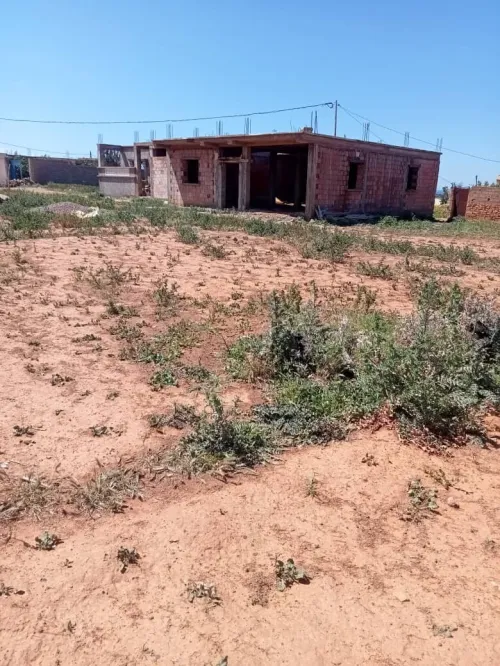 Vente Terrain Mostaganem Achaacha