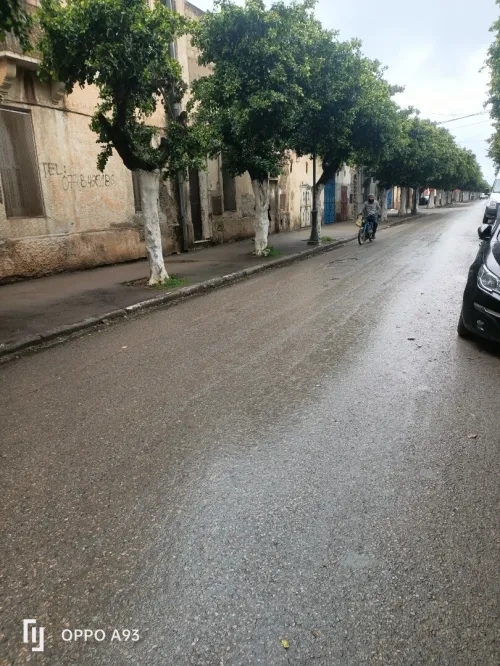 Vente Local Chlef Tenes