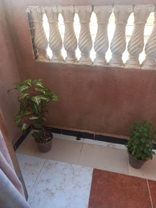Location vacances Appartement Niveau de villa F2 Alger Alger centre
