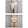 COLLECTEUR D'URINE  REUTILISABLE
