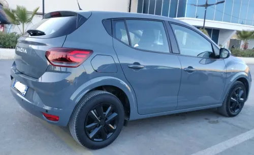 Dacia Sandiro 2023 Genre