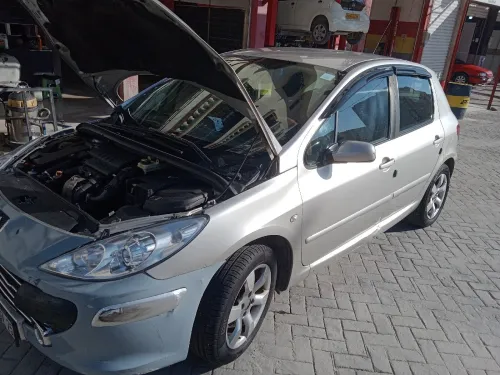 Peugeot 307 2007 Oxygo