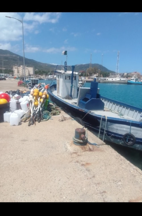 Bateaux pêche professionnel 