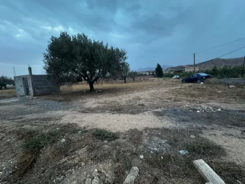 Vente Terrain Bouira Chorfa