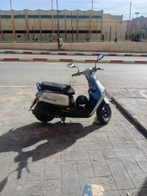 Vms Cuxi 1 2023