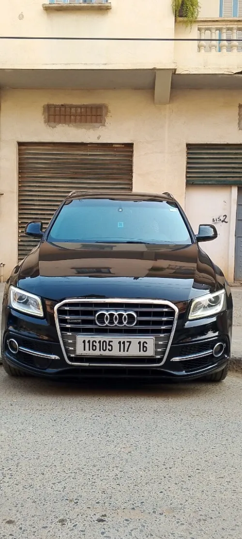 Audi Q5 2017 Offroad
