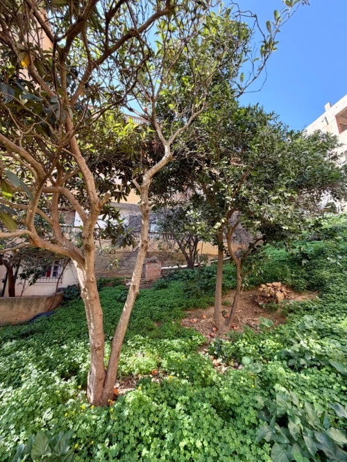 Vente Villa Alger Saoula