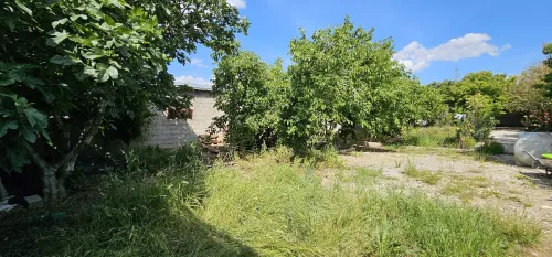 Vente Terrain Agricole Mila Chelghoum laid