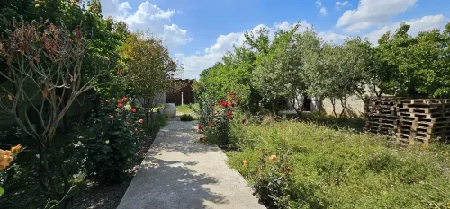 Vente Terrain Agricole Mila Chelghoum laid