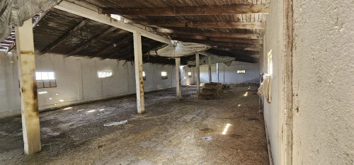 Vente Terrain Agricole Mila Chelghoum laid
