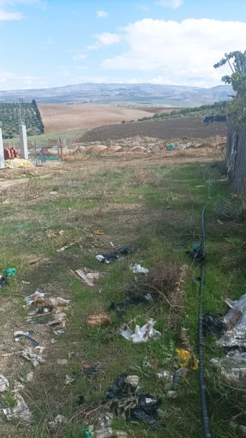 Vente Terrain Mila Oued endja