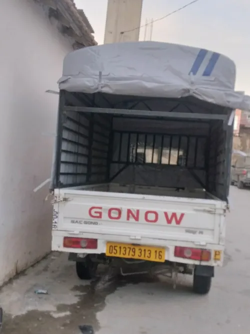 Gonow 1 cabine 2013 