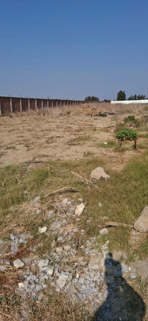 Location Terrain Blida Ben khellil