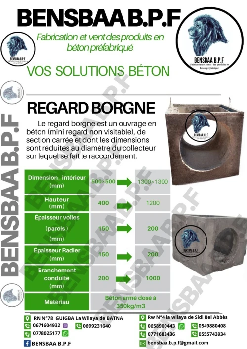 Regard d'assainissement en béton 