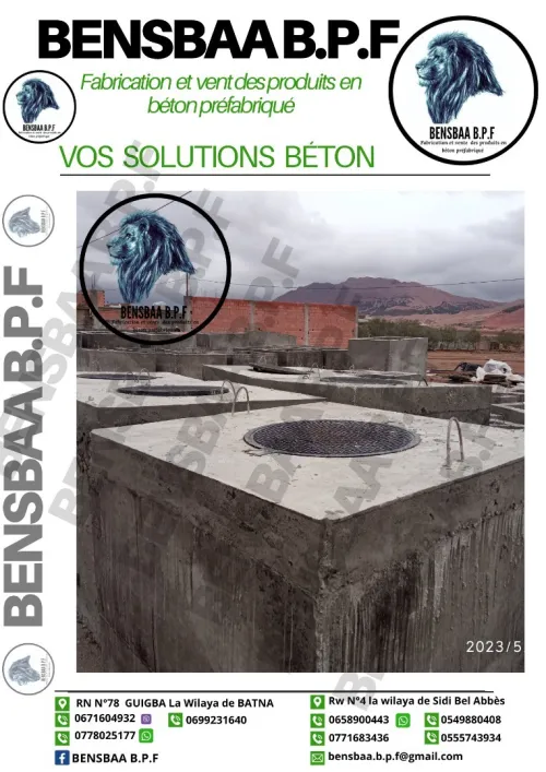 Regard d'assainissement en béton 