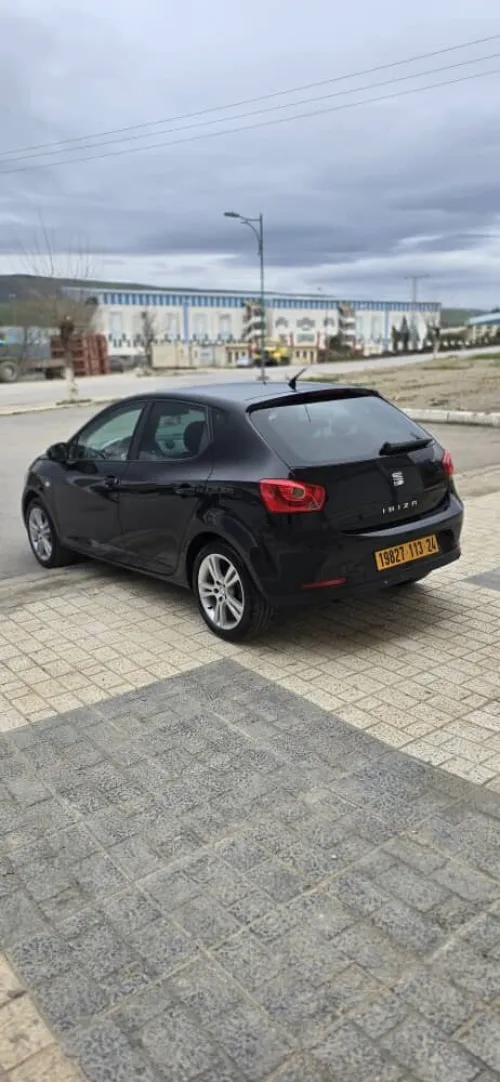 Seat Ibiza 2013 Loca