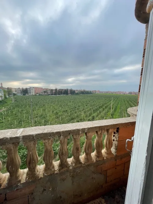 Location Appartement Niveau de villa F4 Alger Les eucalyptus
