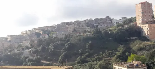 Vente Appartement Duplex F6 Alger Bouzareah