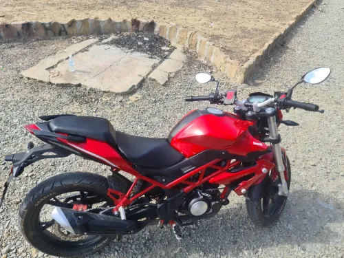 beneli tnt 15 2021