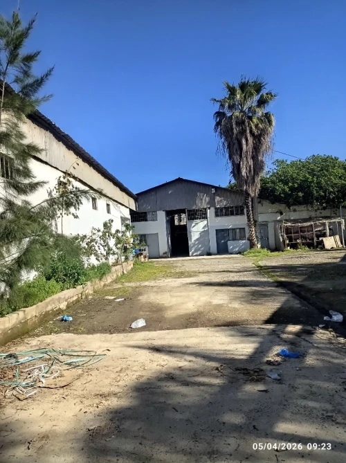 Vente Hangar - Usine Alger Oued smar