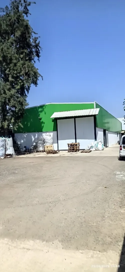 Vente Hangar Alger Baraki