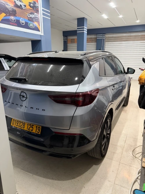 Opel GrandLand 2025 Tot opsyo