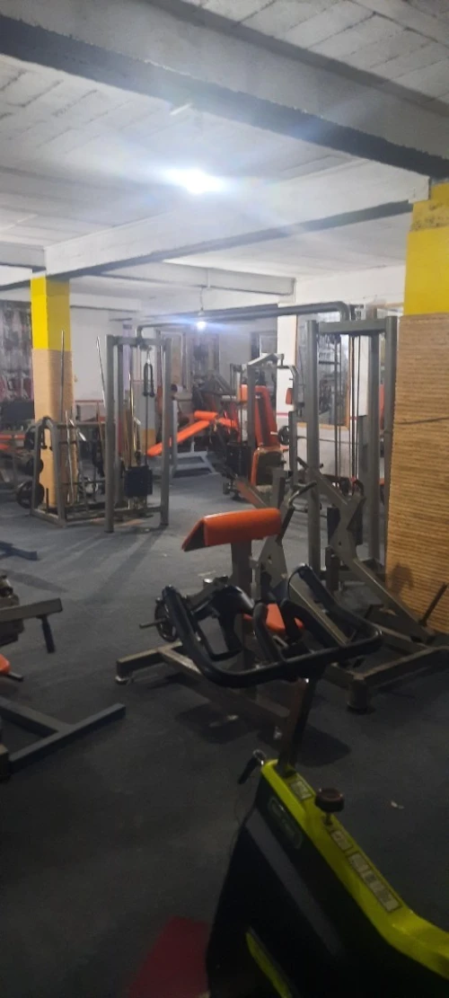 Matériels de musculation 