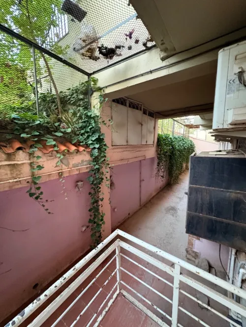 Location Appartement Duplex F10+ Sétif Setif