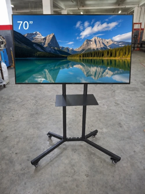 Support TV mobile professionnel