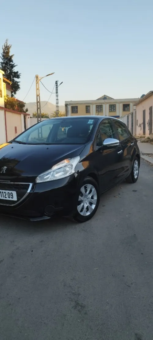 Peugeot 208 2012 Fennec
