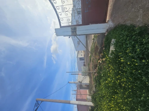 Vente Terrain Agricole Oran Boufatis