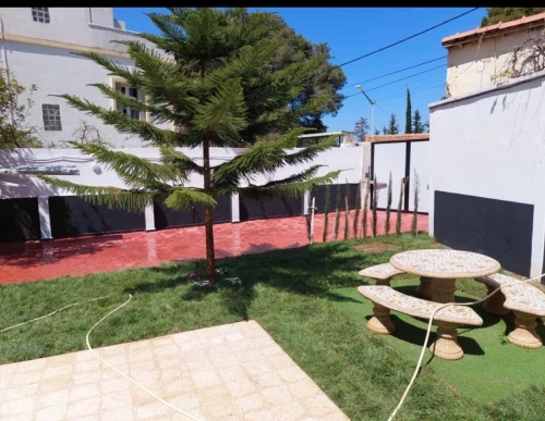 Cherche achat Appartement F7 Alger Alger centre