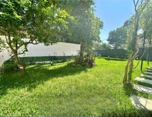 Vente Terrain Alger Draria
