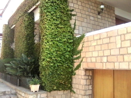 Vente Villa Alger Cheraga
