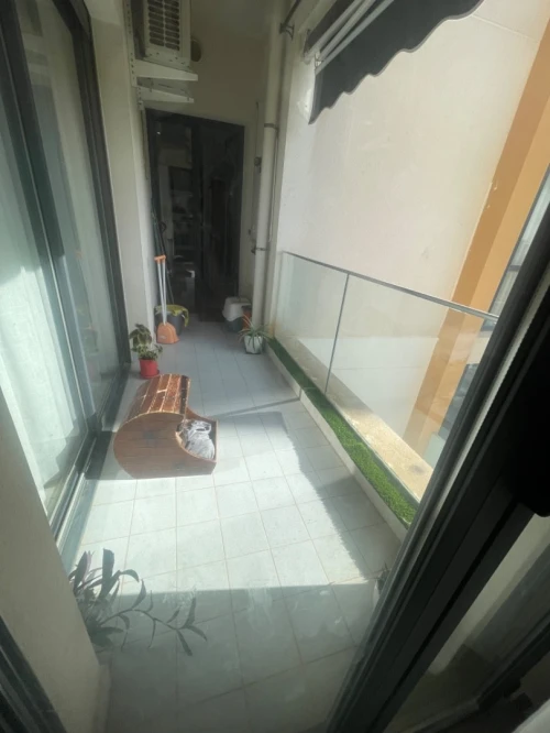 Vente Appartement F5 Alger Cheraga