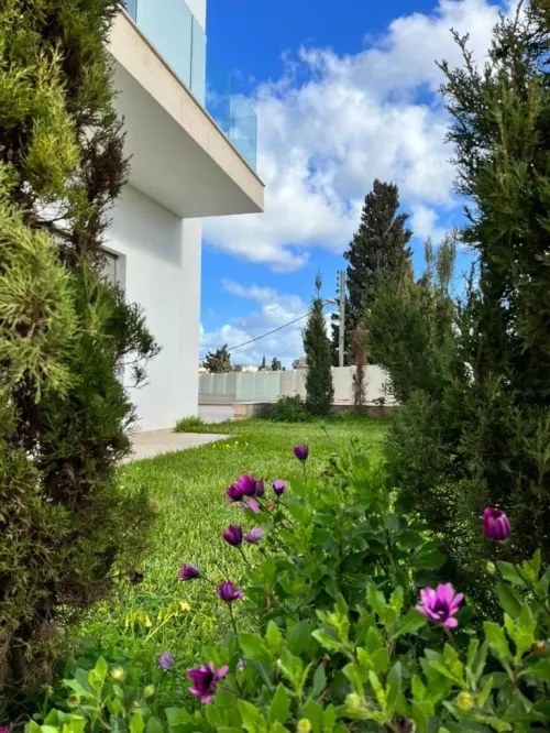 Cherche location Villa Alger Hydra