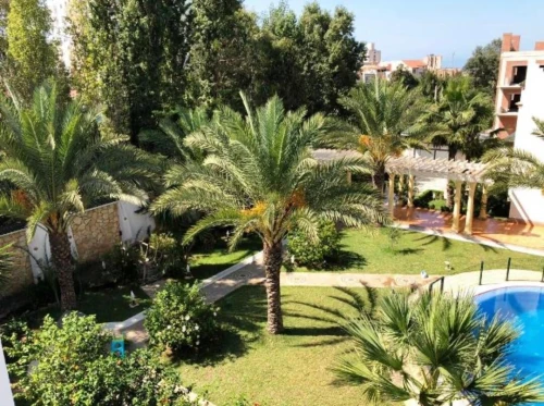 Cherche location Villa Alger Alger centre
