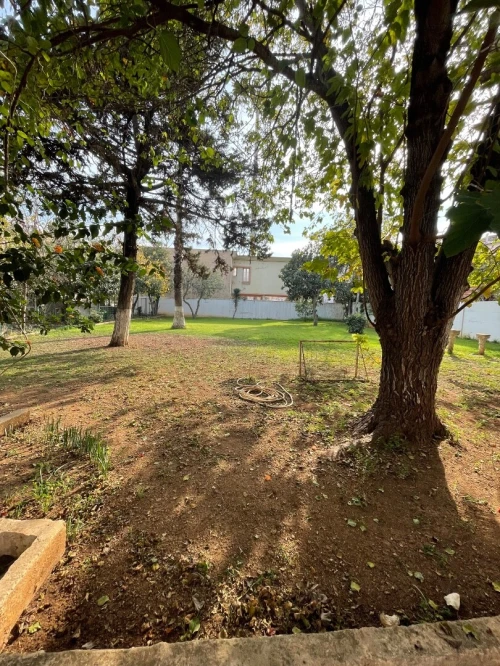 Location Villa Alger Cheraga