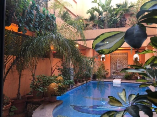 Cherche location Appartement F6 Alger Alger centre