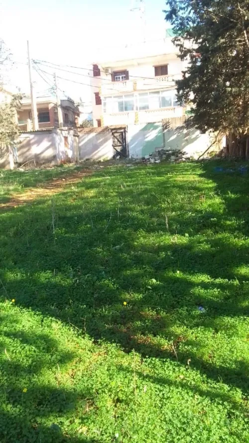 Vente Villa Alger El biar