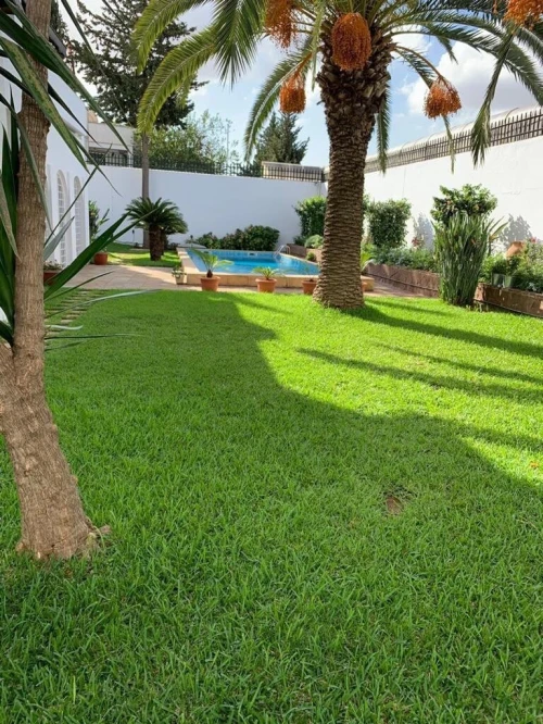 Cherche achat Villa Alger Alger centre