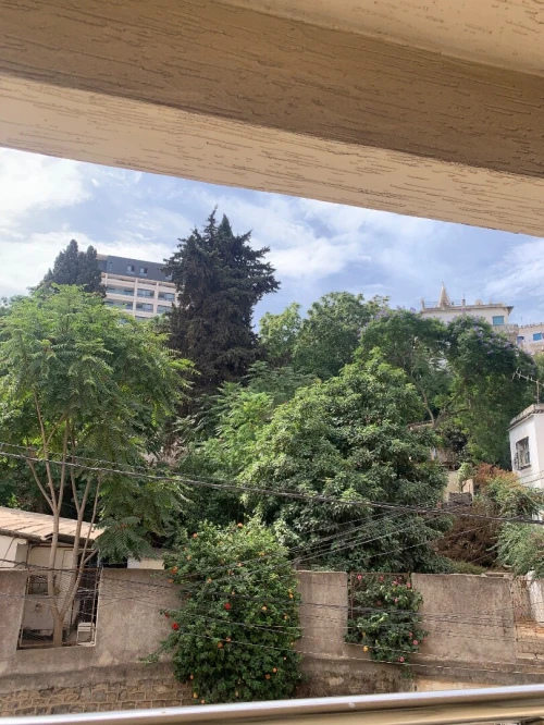 Vente Terrain Alger Cheraga