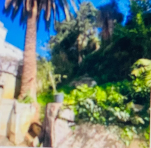 Vente Terrain Alger El biar