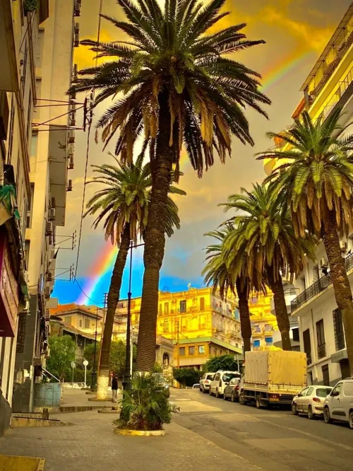 Vente Appartement F3 Alger Alger centre