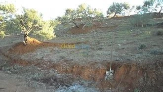 Vente Terrain Béjaïa Ait rzine
