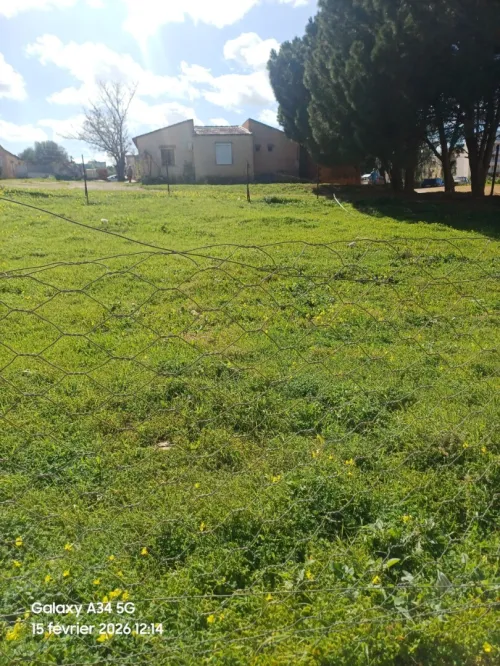 Vente Terrain Alger Ouled fayet