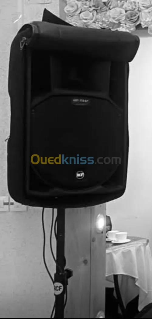 RCF 715 Mk4 et Pioneer RZ 