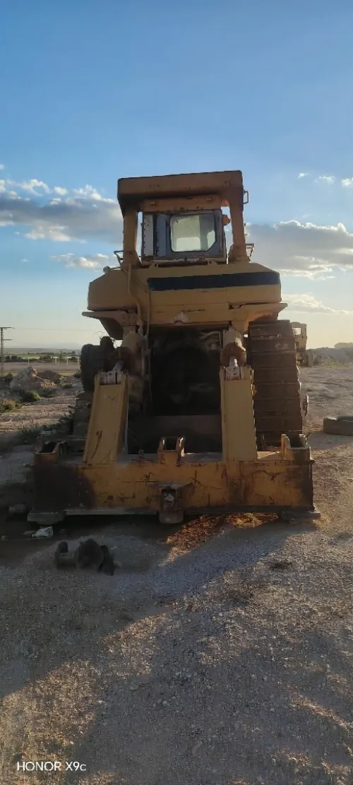 Cat Cat 1987