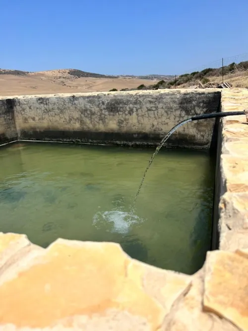 Vente Terrain Agricole Oran Ain el kerma