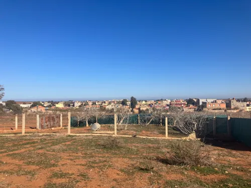 Vente Terrain Mostaganem Hadjadj